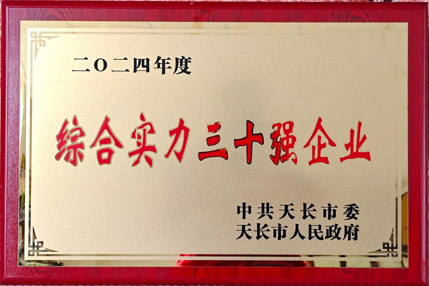 天長市綜合實力30強企業_副本.jpg